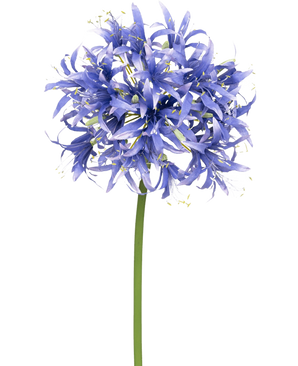 En kunstig blomst Nerine 70 cm lilla med mange små stjerneformede lilla blomster i en kugleformet klase på en lang grøn stilk, mod en almindelig hvid baggrund.