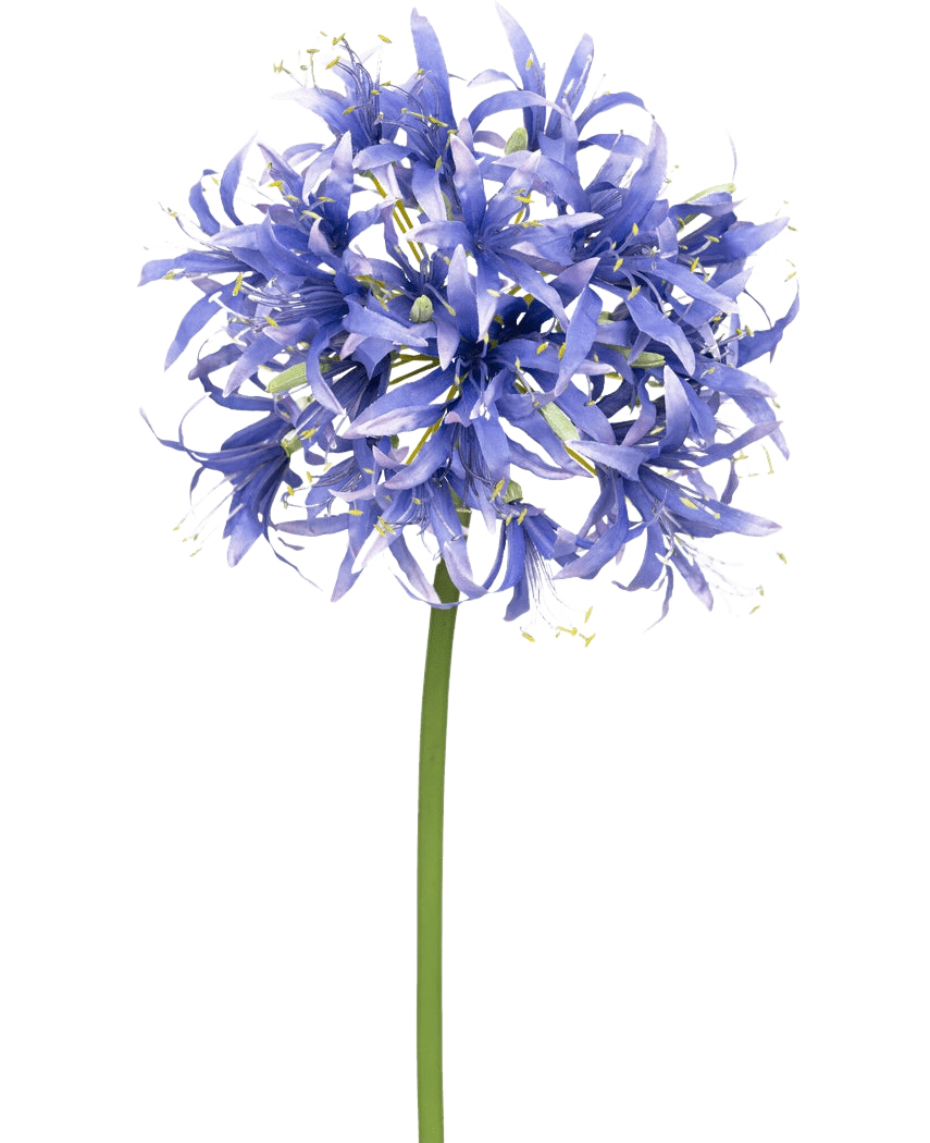 En kunstig blomst Nerine 70 cm lilla med mange små stjerneformede lilla blomster i en kugleformet klase på en lang grøn stilk, mod en almindelig hvid baggrund.