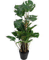 De Kunstplant Monstera 90 cm is een kunstplant met grote, glanzend groene bladeren met natuurlijke splitten, rechtop in een zwarte pot tegen een effen witte achtergrond.