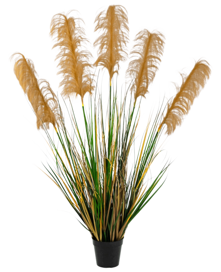 Det kunstige Pampas Græs 120 cm brandhæmmende middel har høje grønne og gule græslignende blade med luftige brune faner. Denne elegante, brandhæmmende kunstige plante tilføjer sofistikering til enhver samling af falske planter mod en hvid baggrund.