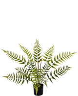 Den kunstige bregneplante 68 cm har lange, fjerlysegrønne bregneblade og kommer i en kompakt sort potte, vist her mod en almindelig hvid baggrund.