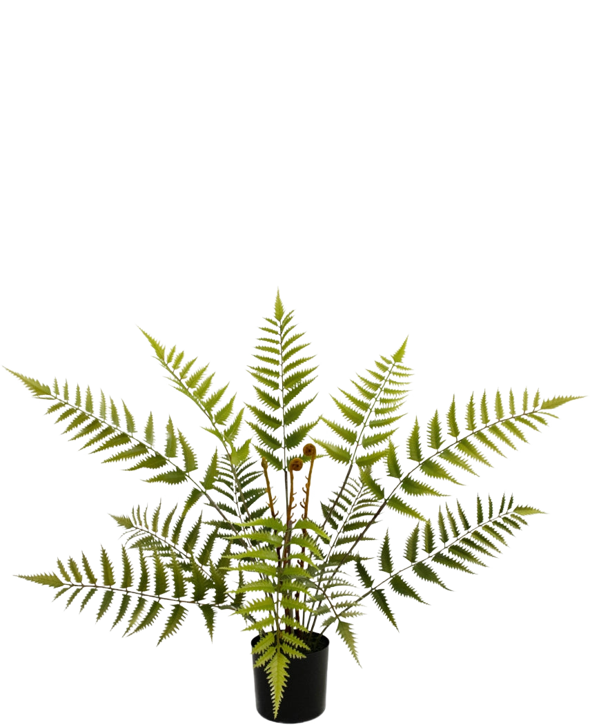 Den kunstige bregneplante 68 cm har lange, fjerlysegrønne bregneblade og kommer i en kompakt sort potte, vist her mod en almindelig hvid baggrund.