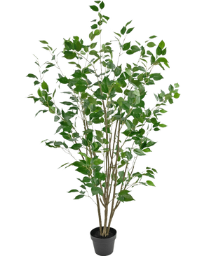 Den kunstige planteficus 150 cm er et kunstigt træ i en potte med flere slanke brune stammer og frodige grønne blade mod en almindelig hvid baggrund.
