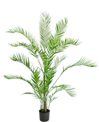 Kunstig plante Chamaedorea 150 cm