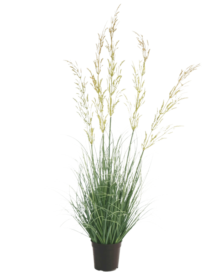Kunstgræsplanten Hvede 90 cm brandhæmmende, med sine slanke grønne blade og lange gullige blomsterpigge, skiller sig smukt ud mod en hvid baggrund - ideel blandt kunstige planter til hjemmet og haven.