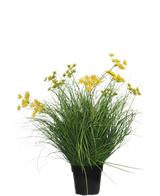 Kunstgræsplanten Asteraceae 70 cm brandhæmmende har lange, tynde grønne blade og klaser af små gule blomster i en sort krukke, som er en kunstgræsplante, der laver vedligeholdelse på en almindelig hvid baggrund.