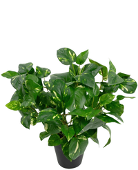 Kunstig plante Golden Vine i potte 40 cm